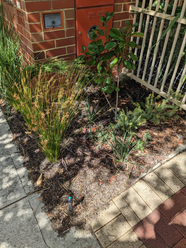 PXL 20230410 034109089.MP.jpg