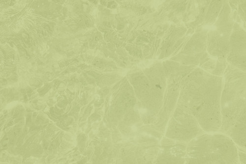 GREEN MARBLE CUT 2.jpg