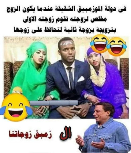 340847301 775492257123521 1372562606625692760 n.jpg