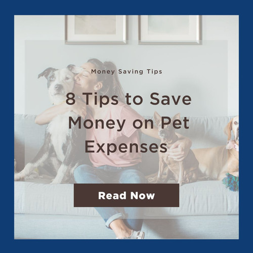 8 Tips to Save Money on Pet Expenses.jpg