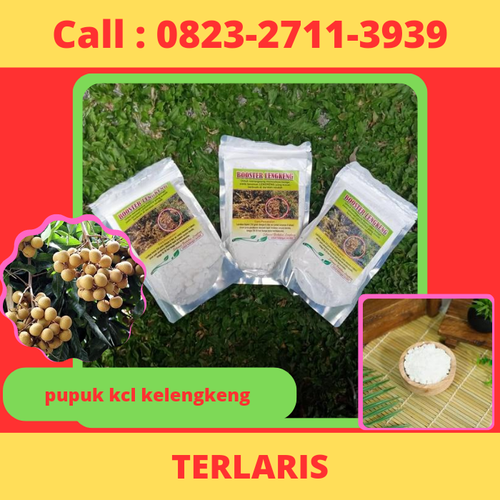 Klik https://wa.me/6282327113939 Pupuk Kcl Kelengkeng Di Kebumen, Pupuk Kcl Kelengkeng, Pupuk Kcl Kelengkeng Diamond, Pupuk Kcl Kelengkeng Nusantara, Pupuk Kcl Kelengkeng Terbaik

PUPUK BOOSTER KELENGKENG adalah pupuk organik nutrisi komplek yang di formulasikan khusus untuk tanaman kelengkeng

BOOSTER KELENGKENG berfungsi untuk merangsang munculnya bunga/bakal buah pada tanaman kelengkeng yang sulit berbuah atau ingin dibuahkan
Cara penggunaan cek dikemasan