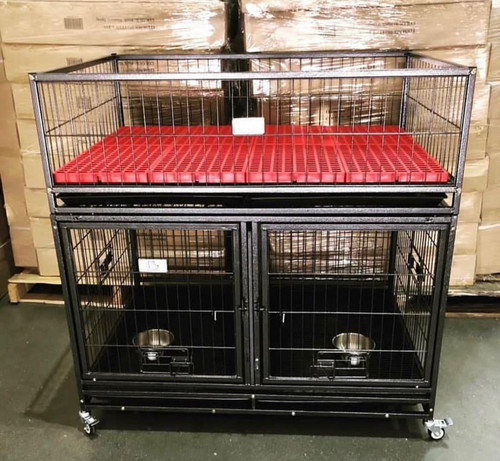 IMG 20230407 WA0041.jpg