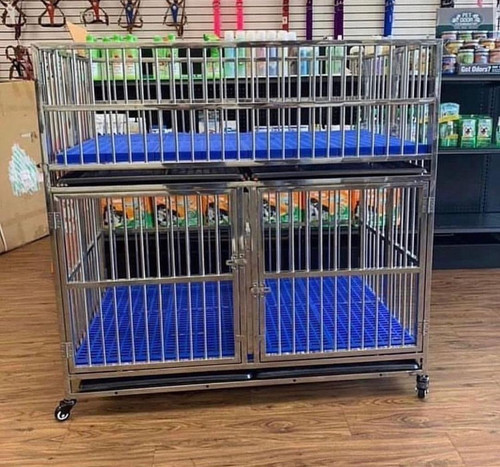 IMG 20230407 WA0037.jpg