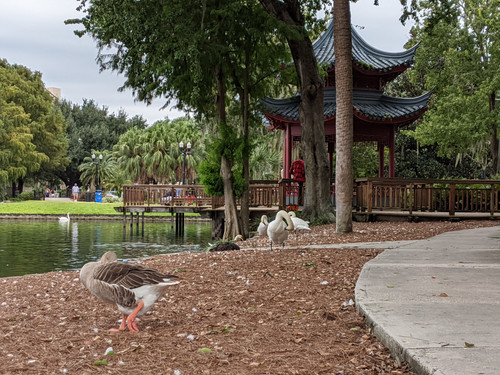 PXL 20201001 163206969.jpg