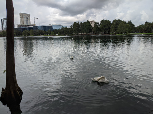 IMG 20200914 122533.jpg