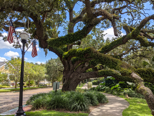 IMG 20200820 123844.jpg