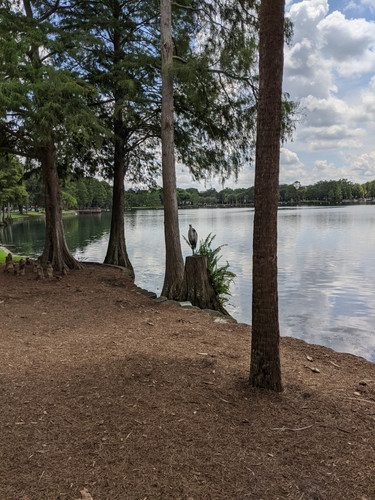 IMG 20200817 122950.jpg