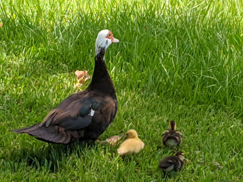 IMG 20200808 125501.jpg