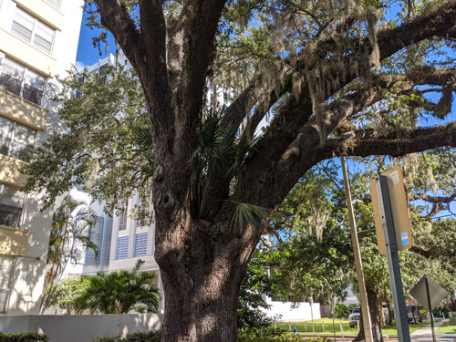 IMG 20200720 091505.jpg