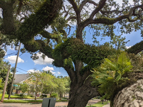 IMG 20200820 123854.jpg