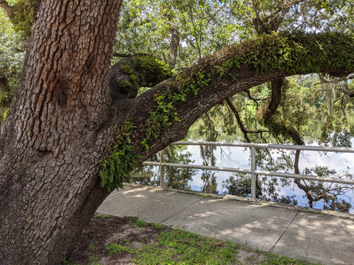 IMG 20200820 124545.jpg