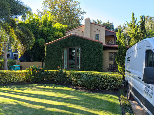 IMG 20200721 181203.jpg