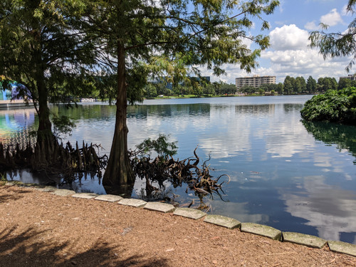 IMG 20200805 122919.jpg