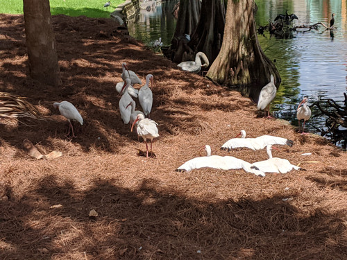 IMG 20200901 122838.jpg