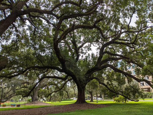 IMG 20200821 122758.jpg