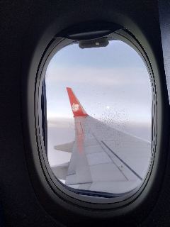 tmp cam 2312623515671802225.jpg