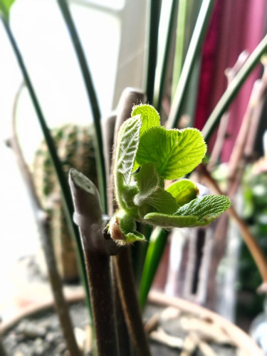 photo 2023 04 11 17 59 26.jpg