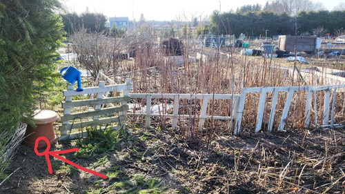 photo 2023 04 11 20 32 17.jpg