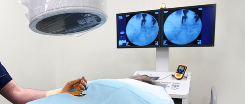 Interventional Pain Management.jpg
