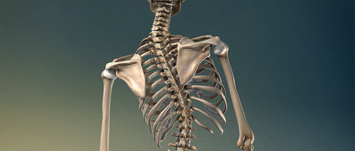 Best Endoscopic Spine Surgeon.jpg