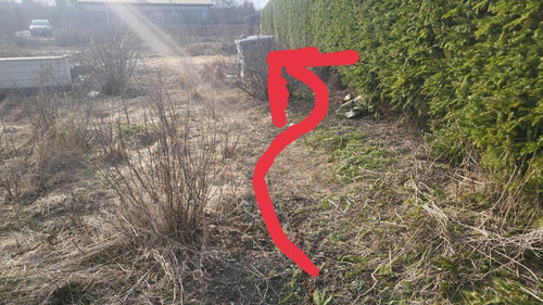 photo 2023 04 08 19 03 34.jpg