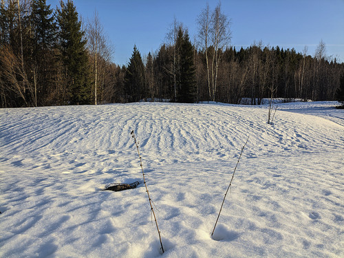 PXL 20230408 1.jpg