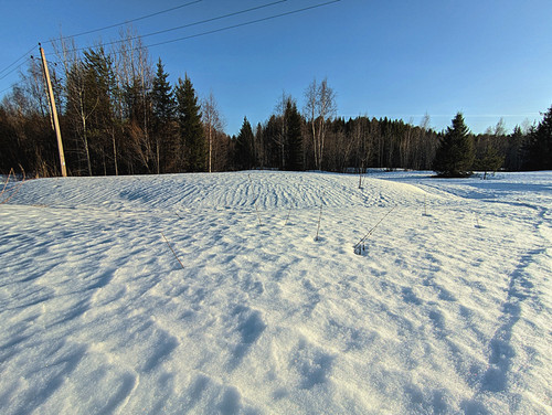 PXL 20230408 2.jpg