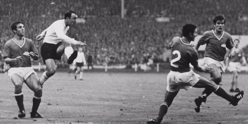 08 Hurst pad 49462.jpg