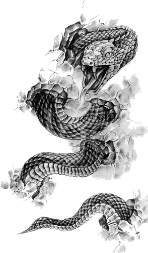pngwing.com (28).png