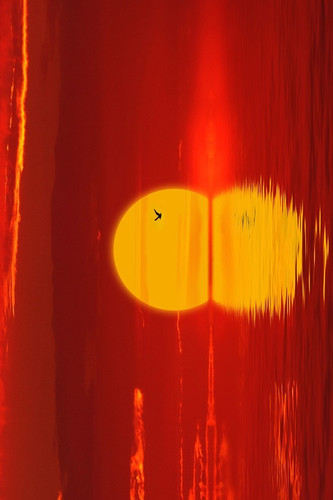 sun 4076115 960 720.jpg