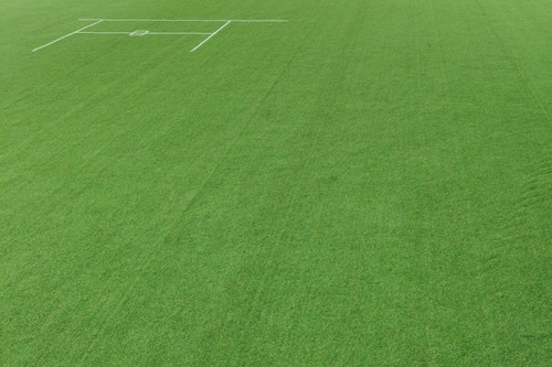ground1c.jpg