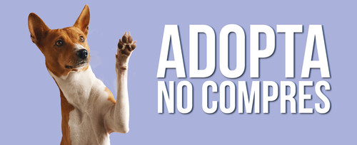 adopa no compres Mesa de trabajo 1.jpg