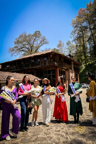 339753908 910543893495309 8817294991036937166 n.jpg? nc cat=100&ccb=1 7& nc sid=0debeb& nc ohc=7UQZx.jpg