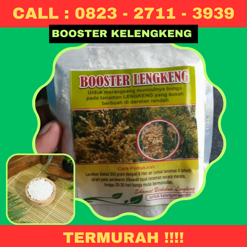 TERMURAH! CALL 0823-2711-3939 Jual Pupuk Kelengkeng Agar Cepat Besar.png
