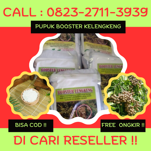 DICARI RESELLER! CALL 0823-2711-3939 Jual Pupuk Kelengkeng Agar Cepat Berbuah.png