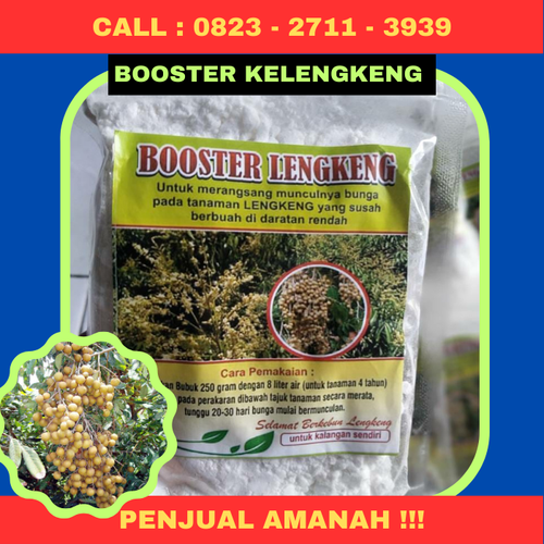 PENJUAL AMANAH! CALL 0823-2711-3939 Jual Pupuk Kelengkeng Agar Berbuah Lebat.png