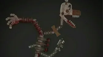 12 27 21 Mangle.webp