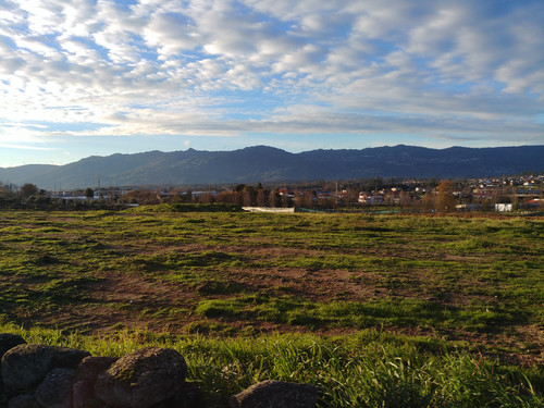 20230122 165059 HDR.jpg