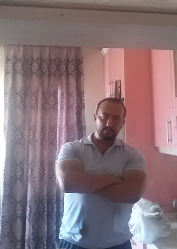 resized 215084 887087d8.jpg