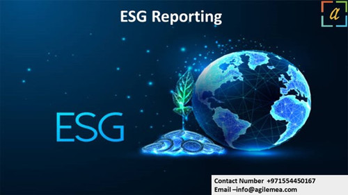 ESG Reporting 12.jpg