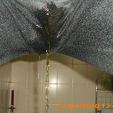 pissen,NS,pee, in die Hose (5)