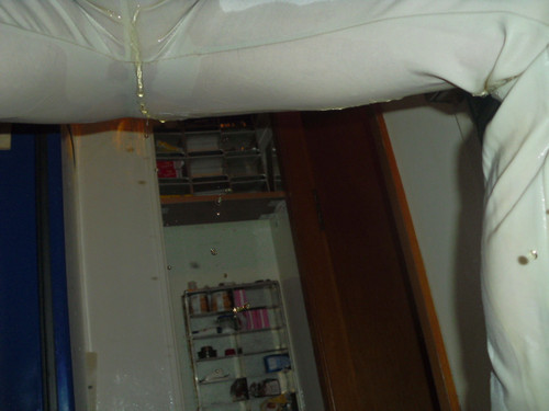 pissen,NS,pee, in die Hose (250).jpg