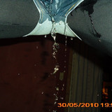 pissen,NS,pee, in die Hose (38)