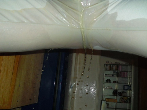 pissen,NS,pee, in die Hose (24).jpg