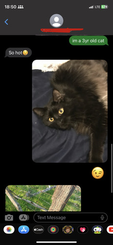 E29737B3 A813 414E 84A3 6B8A2077DEA0.jpg