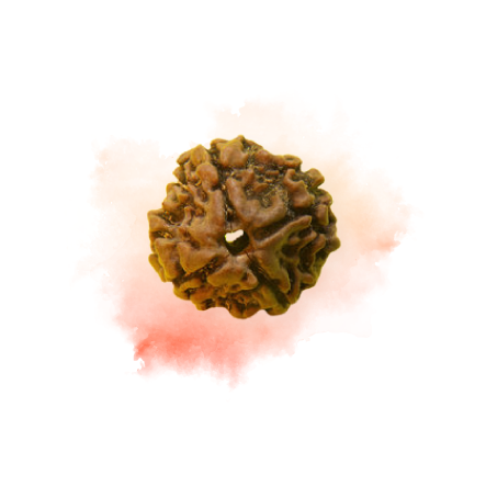 4 MUKHI.png