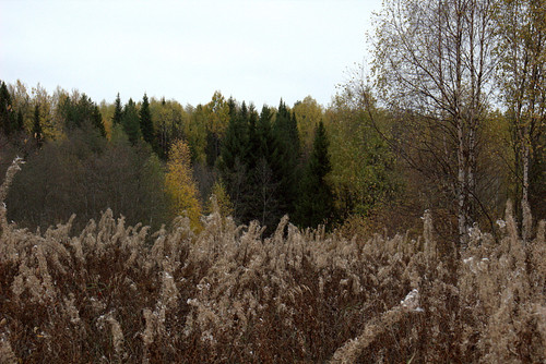 IMG 1657.jpg