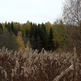 IMG 1657