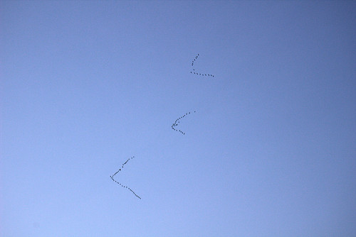 IMG 1608.jpg
