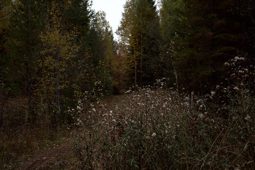 IMG 1685.jpg
